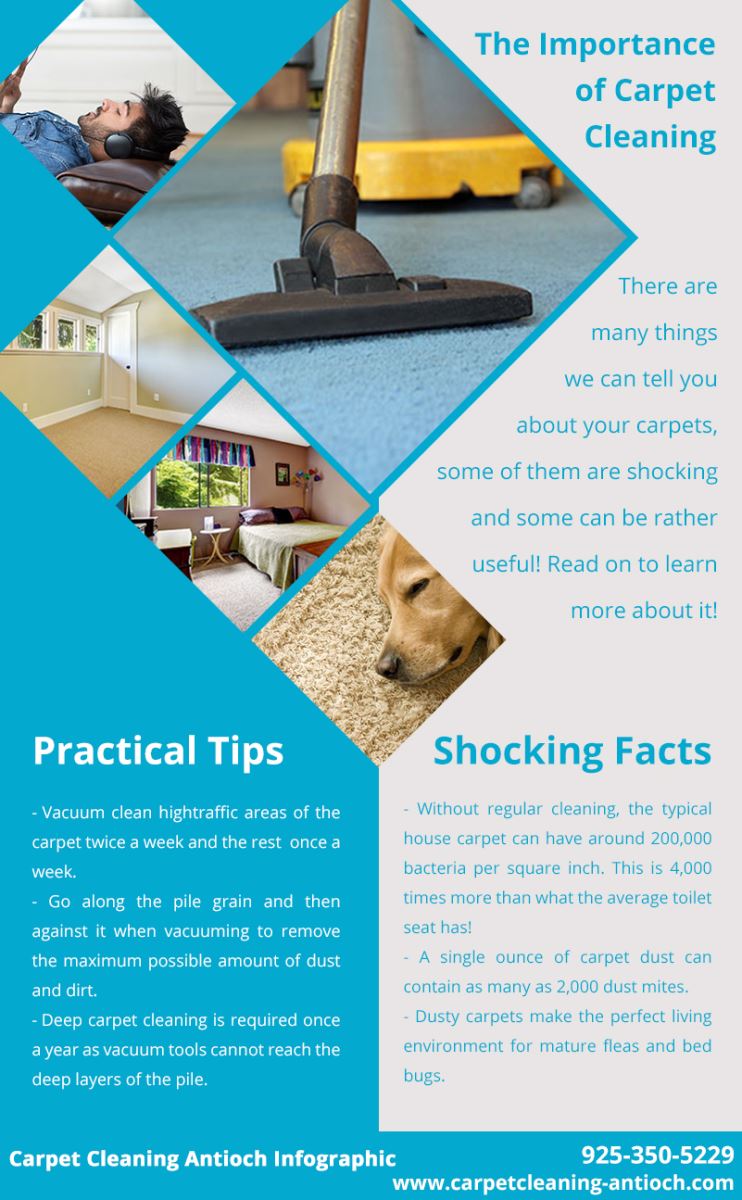 Carpet Cleaning Antioch Infographic